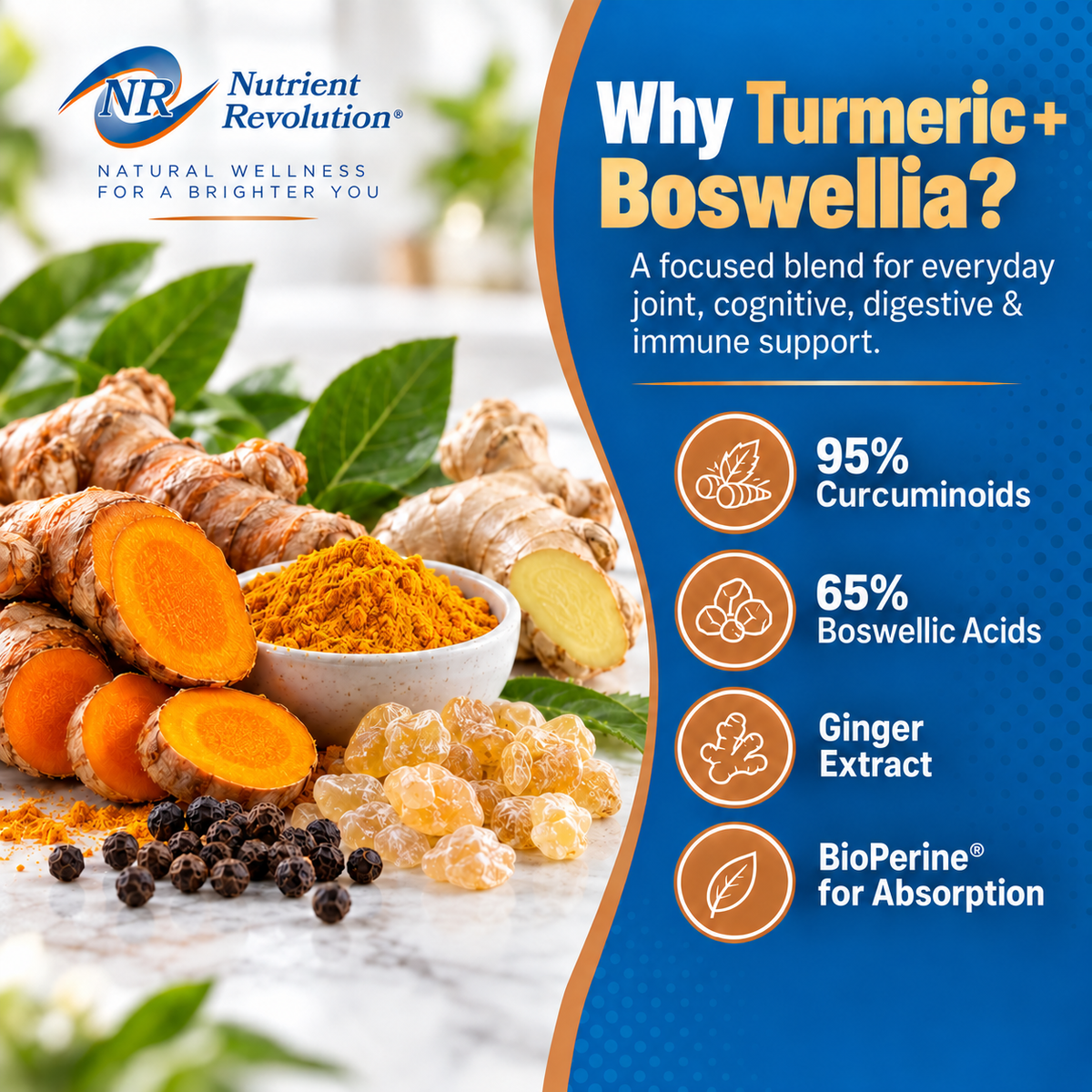 Turmeric (95% Curcuminoids) Boswellia (65% Boswellic Acids)