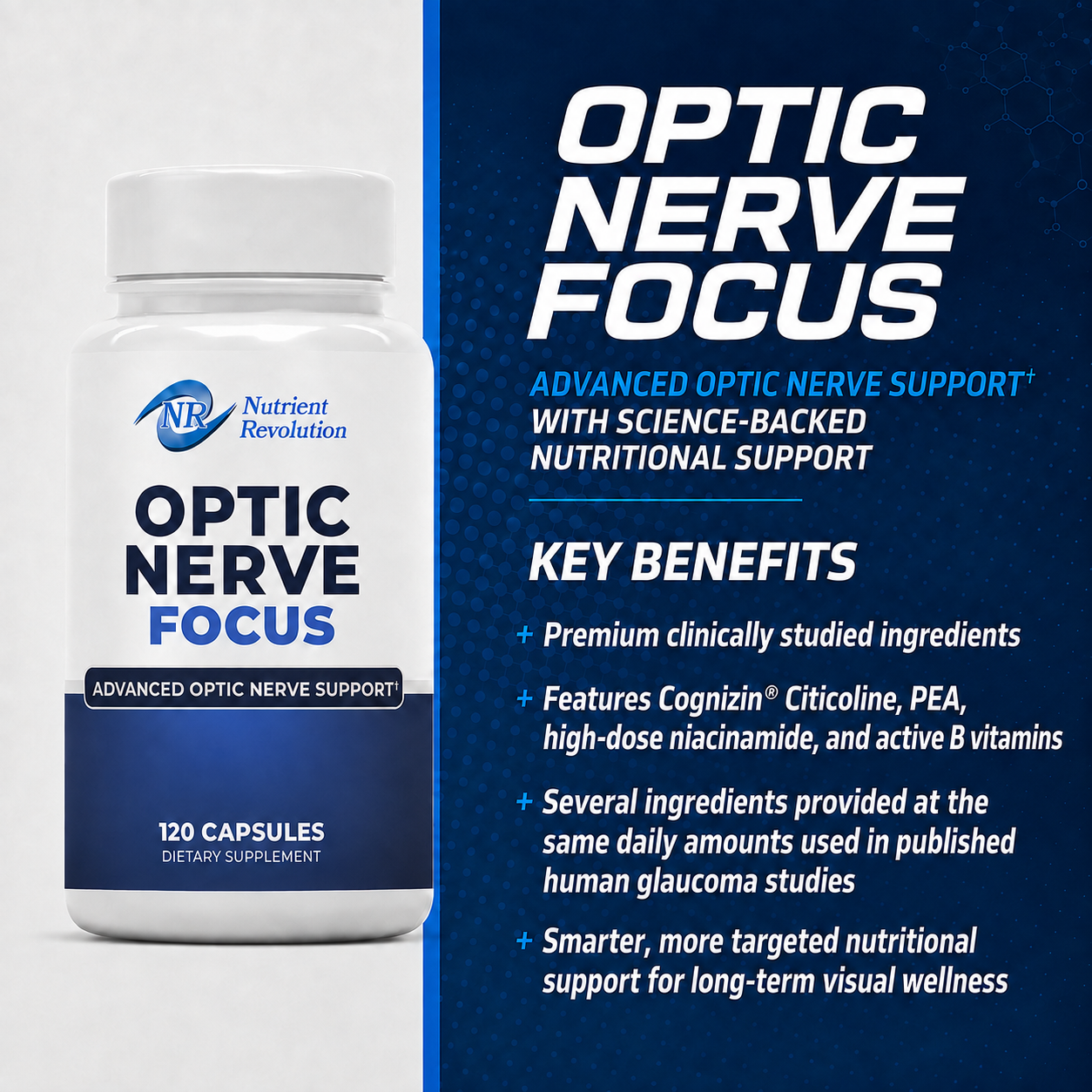 Optic Nerve Focus
